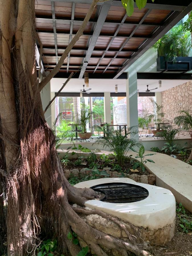 מרידה Treehouse Boutique Hotel, An Adults Only Boutique Hotel מראה חיצוני תמונה