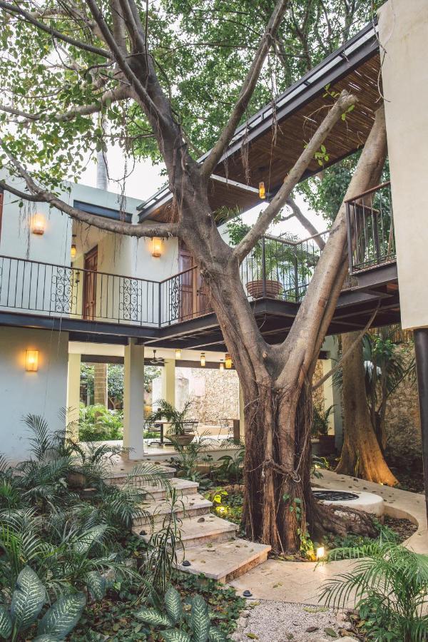 מרידה Treehouse Boutique Hotel, An Adults Only Boutique Hotel מראה חיצוני תמונה